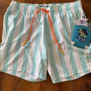 Men's Aqua and White Striped Swim Shorts